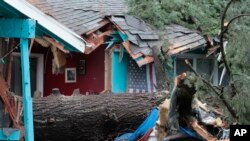 Una de las víctimas murió al caer un gran árbol sobre la habitación en que dormía, en Portland, Oregon.