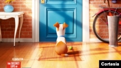 The Secret Life of Pets