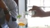 Gin Up, South Africa: Gin Craze Going Big