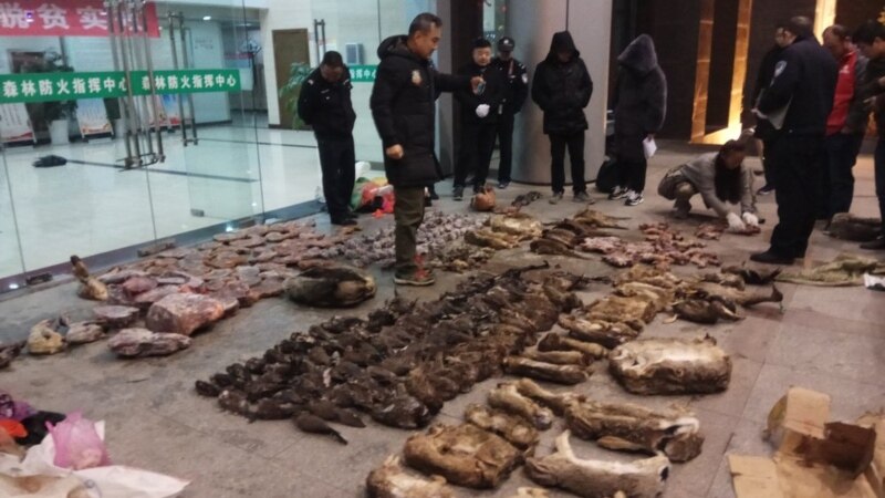 China’s Wildlife Trade Linked to Spread of Coronavirus