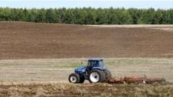 A farmer tilling a field near Hastings, Minnesota, in April