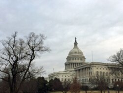 The U.S. Capitol Hill building in Washington, DC.(Photo by Diaa Bekheet)