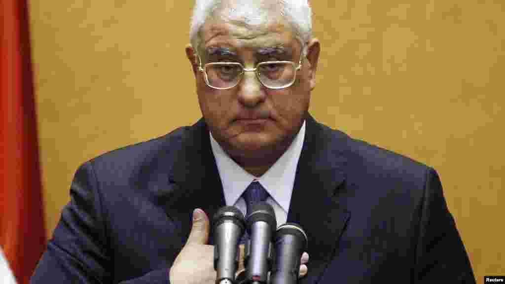 Adly Mansour gestures at his swearing in ceremony as the nation's interim president in Cairo, July 4, 2013.