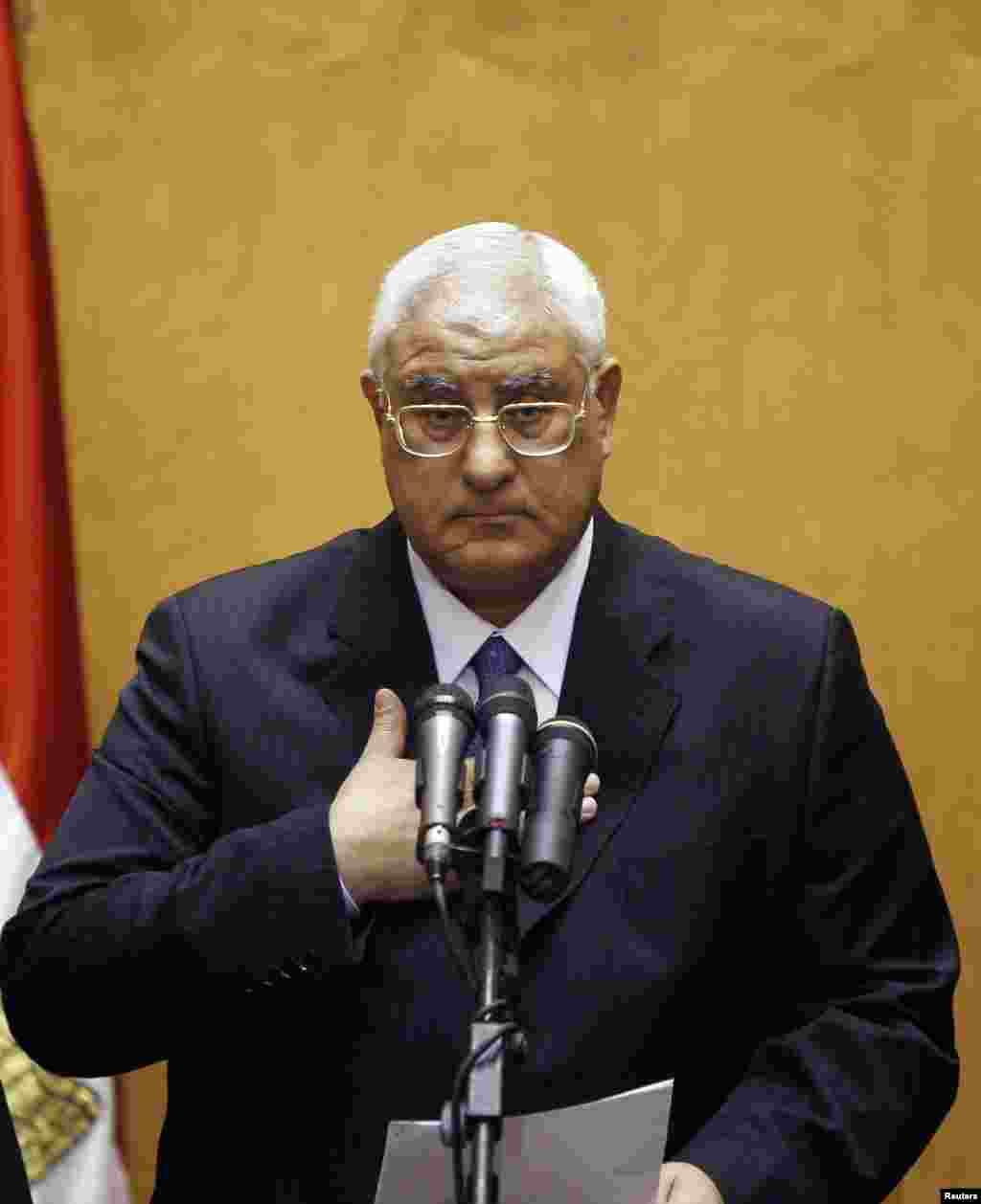 Adly Mansour gestures at his swearing in ceremony as the nation's interim president in Cairo, July 4, 2013.