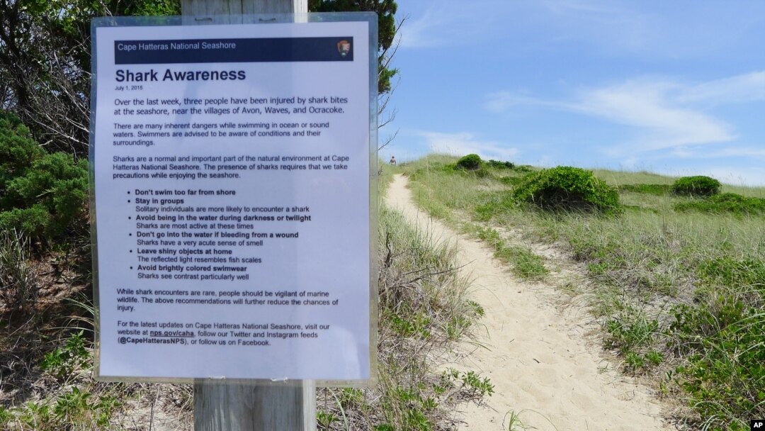 FILE - A sign warns visitors about the possible presence of sharks along the Cape Hatteras National Seashore in Cape Hatteras, North Carolina, July 7, 2015.