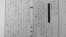 일본 도쿄의 국립공문서관이 한 시민단체에 공개한 바타비아 군법회의 판결문.이 문서는 일본 시민단체의 정보공개 청구에 따라 도쿄의 국립공문서관이 해당 단체에 공개한 자료 중 일부다. 이들 자료에는 2차대전 중 일본군이 인도네시아 포로 수용소에서 네덜란드 여성 35명을 강제 연행해 위안부로 삼았다는 내용이 적혀 있다.
