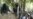 UN Urges Review After Airstrikes Kill Afghan Children