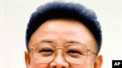 কিম যং ইলের মৃত্যু ও তার প্রতিক্রিয়া - ডক্টর রবার্ট ফ্রীডম্যান ।