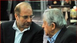 عزت الله انتظامی همراه با قالیباف شهردار تهران، مبتکر جشنواره فیلم شهر