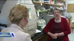 Gwen Sancar: 'En İyi Kanser Araştırma Merkezlerinden Biri Burada'