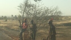Siraba cheick point wili
