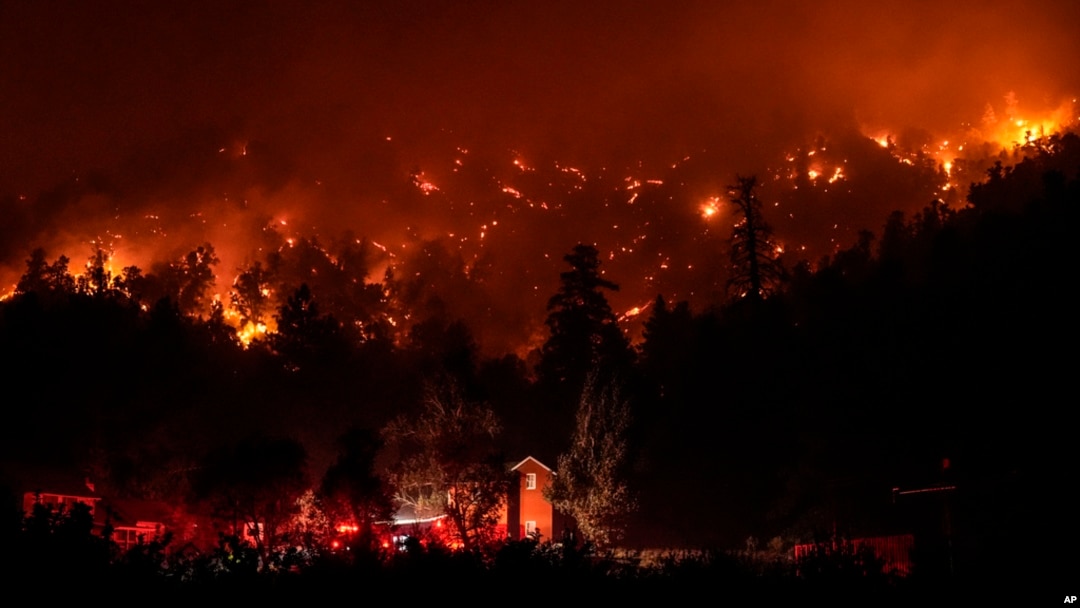 Firetrucks are seen around a building as scorched trees smolder during the Bridge Fire in Wrightwood, California, Sept. 11, 2024.
