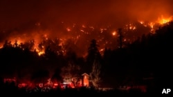 Firetrucks are seen around a building as scorched trees smolder during the Bridge Fire in Wrightwood, California, Sept. 11, 2024.