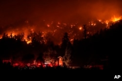 Firetrucks are seen around a building as scorched trees smolder during the Bridge Fire in Wrightwood, California, Sept. 11, 2024.