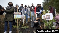 Orang-orang yang kerabatnya meninggal akibat COVID-19 menyebar abu jenazah di pohon yang mereka tanam untuk mengenang orang yang mereka cintai, di cagar alam Paramo de Guerrero, di Cogua, dekat Bogota, Kolombia, 21 Juni 2021. (Foto: Raul Arboleda/AFP)