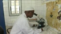 اخبار شامگاهی