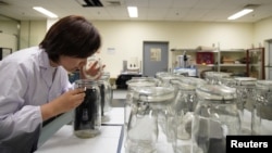 An employee conducts an "odor test" at the Polymer Laboratory at Ford's research and development center in Nanjing, China, July 12, 2017.