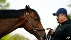 El principal favorito a llevarse el trofeo del Kentucky Derby es Nyquist, ganador del Florida Derby y que tiene a Mario Gutiérrez como jinete. Ambos partirán del puesto 13.