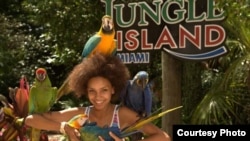 Parrots are still the stars of the show at Jungle Island, especially when it comes to interacting, quite loudly, with visitors. (Courtesy, Jungle Island)