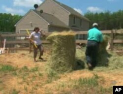 The Hossains do most of the farm work themselves.