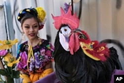 A Mexican dancer looks at a Chico McRooster at the Chinatown's 119th annual Golden Dragon Parade to celebrate the Year of the Dog, with firecrackers, dragon dancers, floats and bands in Los Angeles, Feb. 17, 2018.