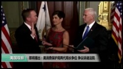 美国观察2017年11月28日