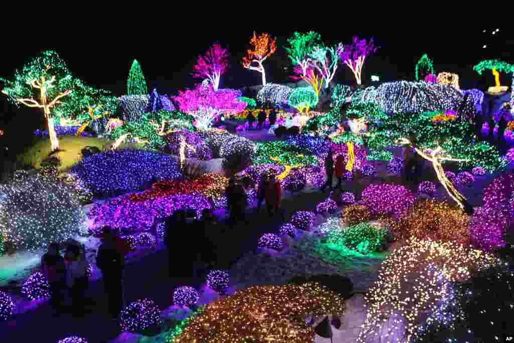 Visitors&#39; silhouettes can be detected against lights decorating trees to celebrate the upcoming Christmas and New Year, at Garden of Morning Calm in Gapyeong, South Korea.