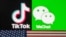 Prohibición de Tik Tok y WeChat en medio de la campaña presidencial 