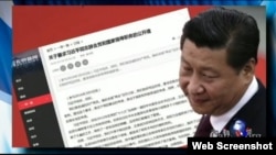 无界新闻网转载倒习公开信(美国之音电视节目截频图)