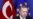 دولت اردوغان و نگرانی های داخلی