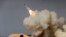 FILE - In this Dec. 29, 2016 file photo, released by the semi-official Iranian Students News Agency (ISNA), a long-range S-200 missile is fired in a military drill in the port city of Bushehr, on the northern coast of Persian Gulf, Iran.