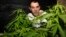 FILE - Marijuana grower and activist Juan Vaz checks marijuana plants in Montevideo, Uruguay, Aug. 9, 2012. 