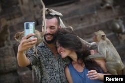 Long-tailed macaques ascent  connected  tourists during the yearly  Monkey Festival astatine  Phra Prang Sam Yot temple, earlier  officials started capturing monkeys successful  Lopburi, Thailand, Nov. 26, 2023