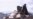 Fighting Still Rages in Afghanistan 10 Years After US-Led Invasion