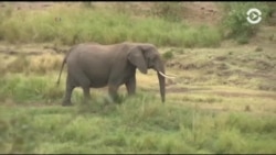 Настоящее Время. Америка – 3 января 2017