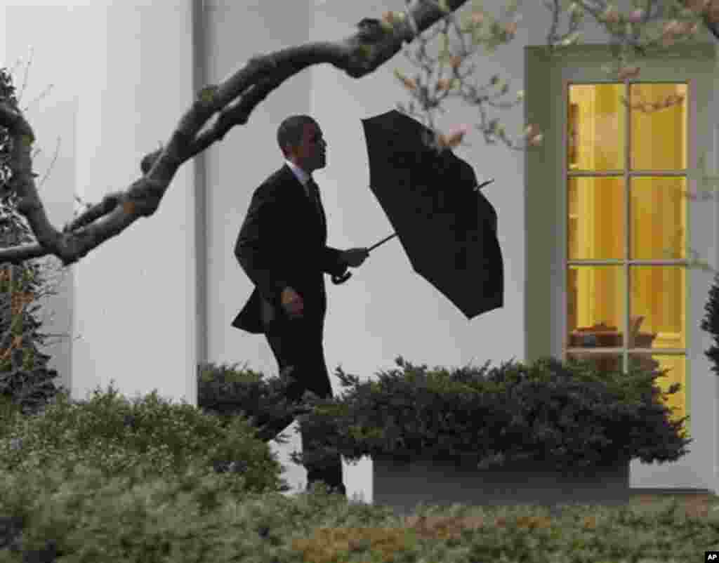 President Barack Obama walks back to the Oval Office of the White House in Washington, Friday, March, 2, 2012. President Barack Obama has paid his first visit of the year to wounded troops from the wars in Iraq and Afghanistan at the Walter Reed National