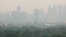 FILE - A thick layer of smog covers Lumpini Park in central Bangkok, Thailand, Thursday, Jan. 31, 2019.