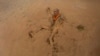 An elderly man falls in the mud in a paddy field during &#39;Asar Pandra&#39;, or paddy plantation day in Dhading district, Nepal.