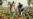 Report: Conflict, Climate Affect Food Security