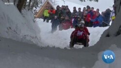 Bavarian Thrill-Seekers Hurl Down Snowy Alps in Horned Sleds