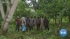 Cameroon farmers turn to vigilantes and amulets to stop cocoa theft
