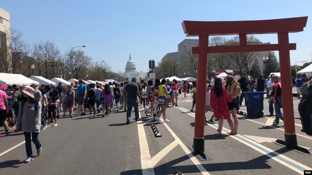 Crowd at National Cherry Blossom Festival (Sakura Matsuri