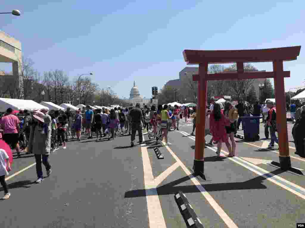 The Sakura Matsuri in Washington D.C.