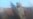 Helmet-cam Footage Shows IS in Battlefield Chaos
