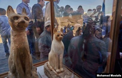 In Egypt, Lion Mummies Found in Cache of Sacred Animals