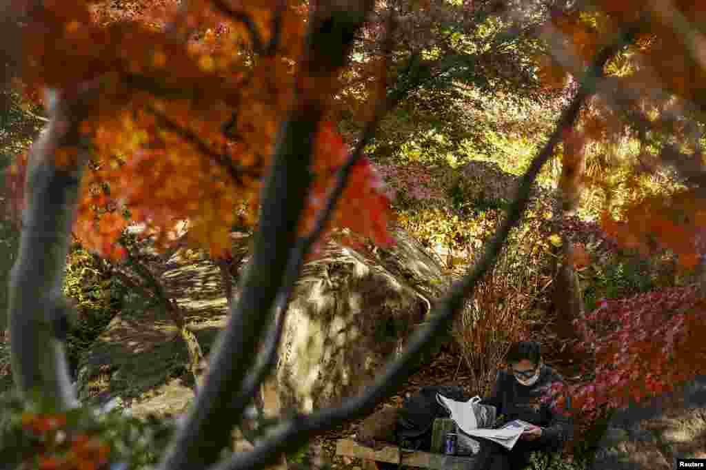 A man reads a newspaper as he sits underneath trees in autumn colors in a park in Tokyo.