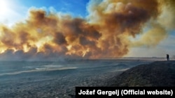 Požari u Vojvodini ove jeseni naneli su veliku štetu biljnom i životinjskom svetu, Foto: Jožef Gergelj