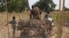 Afrika taraqqiyoti gumanitar yordamga emas, fermerlar soniga bog'liq