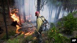 Požar u Nacionalnom parku Josemiti