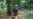 Indonesia Plans Forest-Cutting Moratorium to Protect Palm Oil Industry